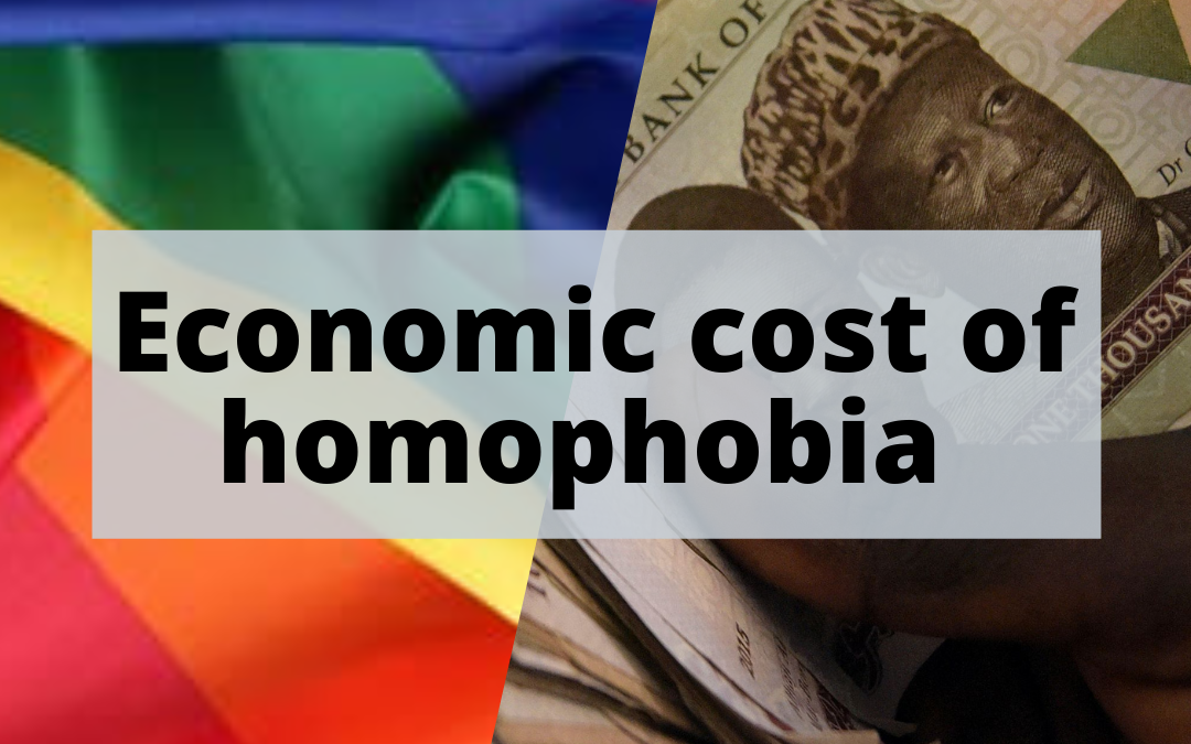 The Development Costs of Homophobia – Bisi Alimi