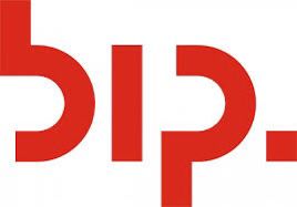 bip consulting